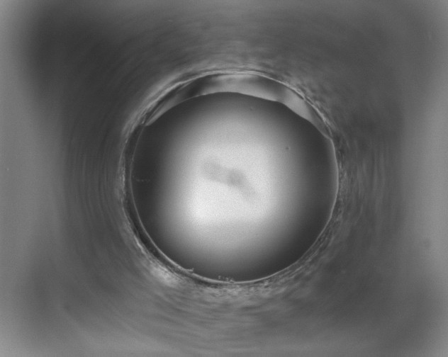 X0000070400005200606121316