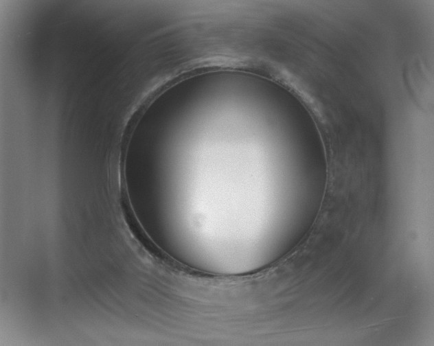 X0000070400011200606121316