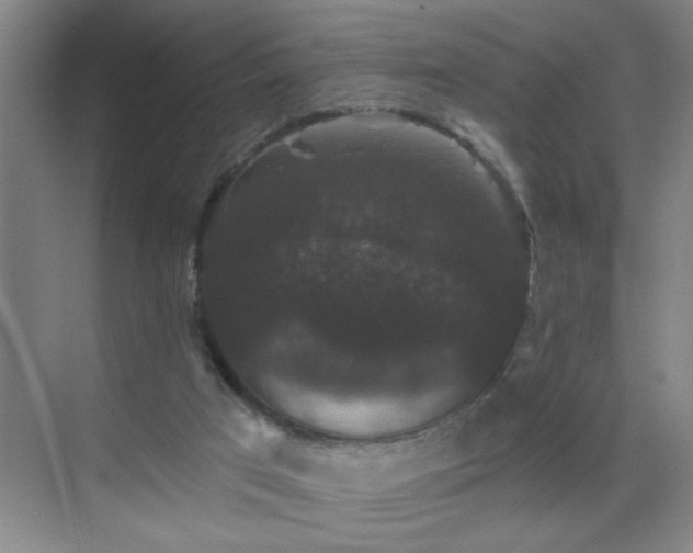 X0000070400017200606121315