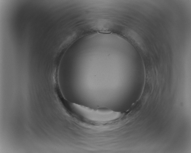 X0000070400023200606121315