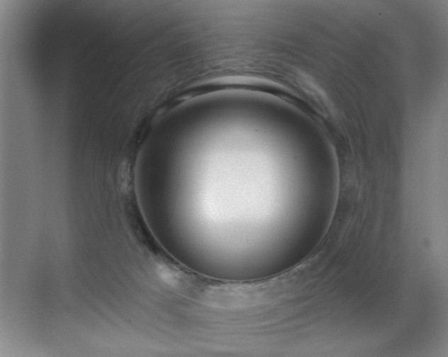 X0000070400025200606121315