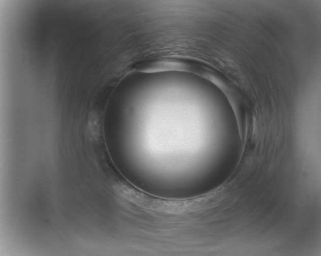 X0000070400037200606121315