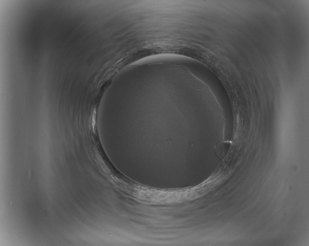 X0000070400048200606121315