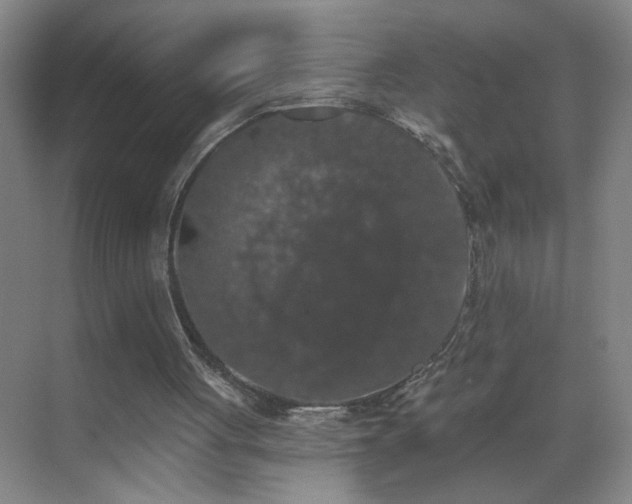 X0000070400051200606121314