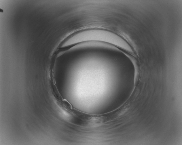 X0000070400060200606121314