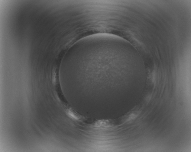 X0000070400080200606121315
