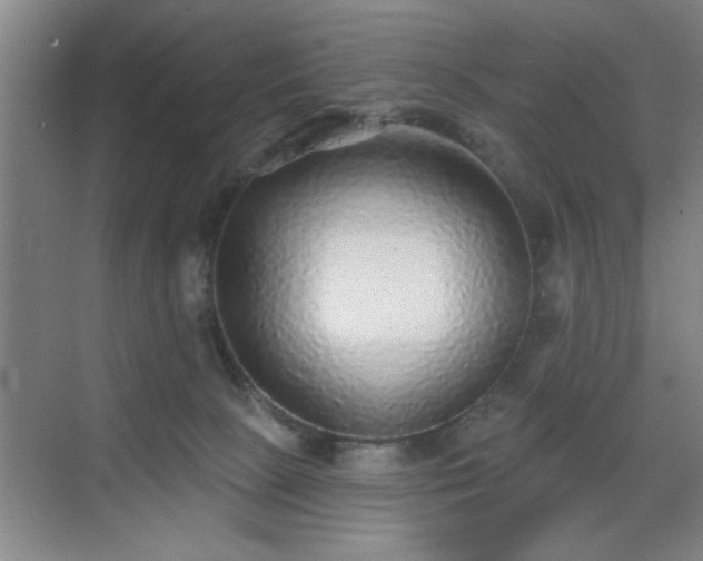 X0000070400081200606121315