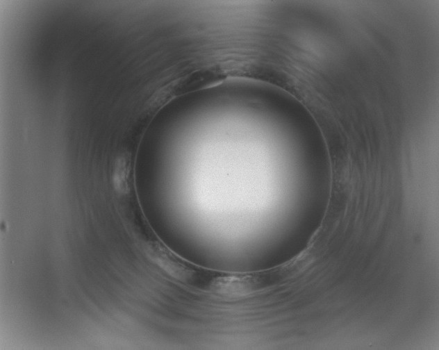 X0000070400082200606121315