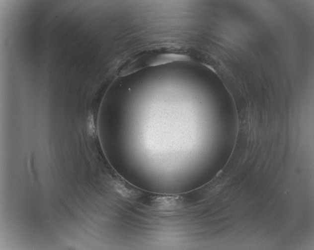 X0000070400089200606121315