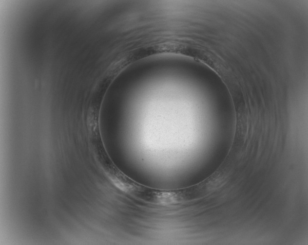 X0000070400091200606121315