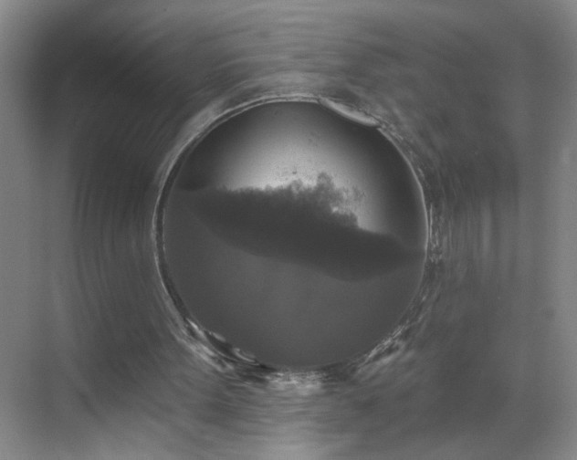 X0000070400099200606121314