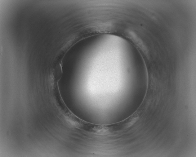 X0000070400113200606121314