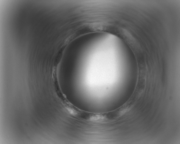 X0000070400125200606121314