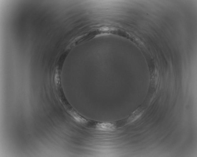 X0000070400137200606121313