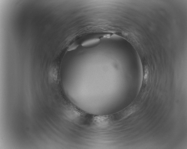 X0000070400139200606121313