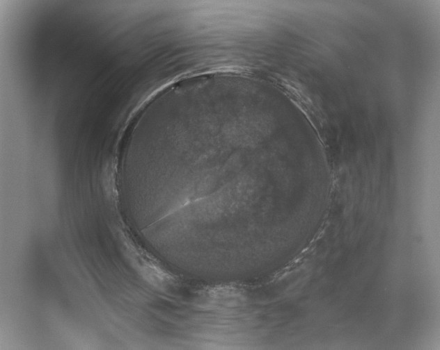 X0000070400146200606121313