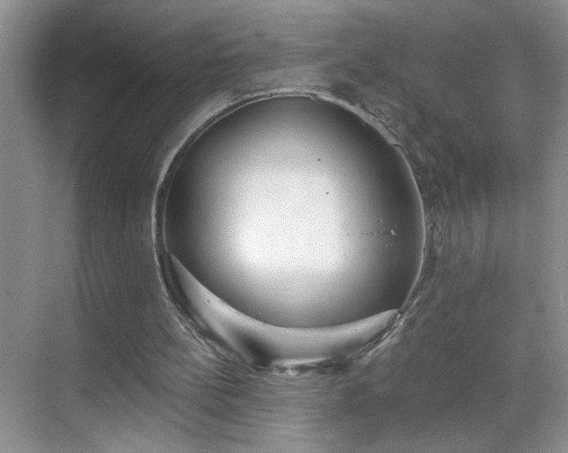 X0000070400148200606121313