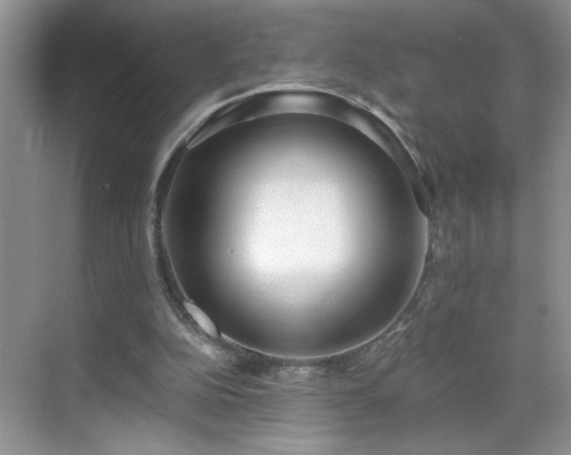 X0000070400152200606121313
