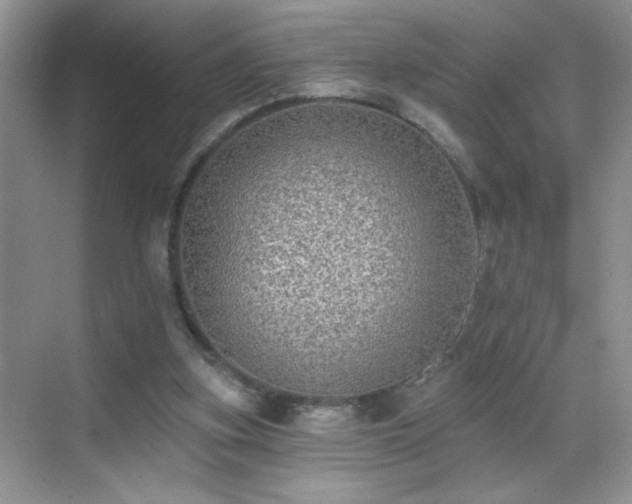 X0000070400155200606121313