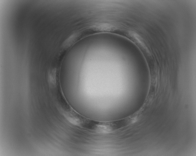 X0000070400167200606121313