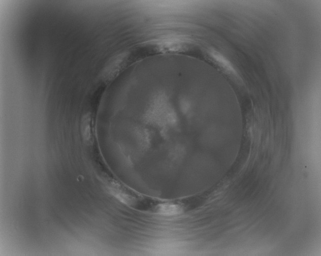 X0000070400169200606121313