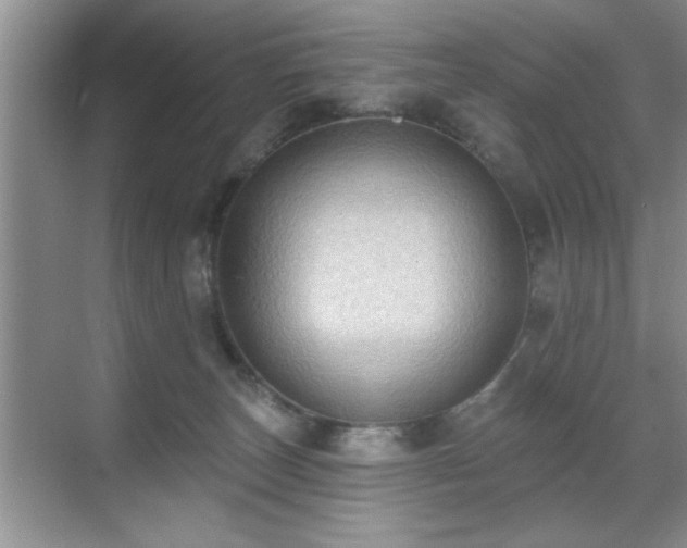 X0000070400179200606121313