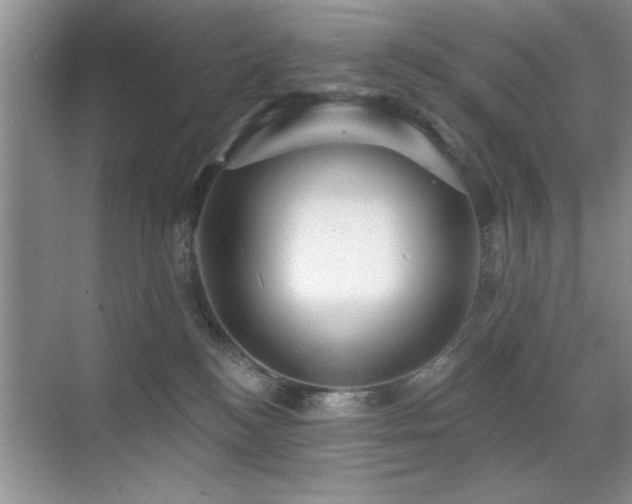 X0000070400184200606121313