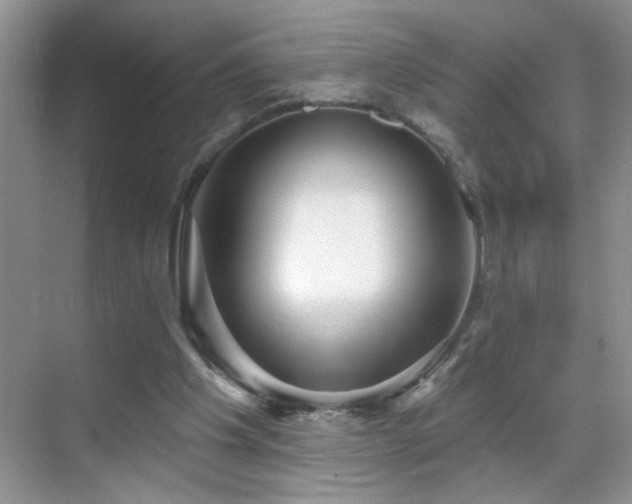 X0000070400201200606121312