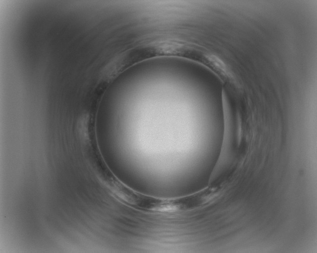 X0000070400217200606121312