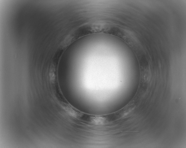 X0000070400226200606121312
