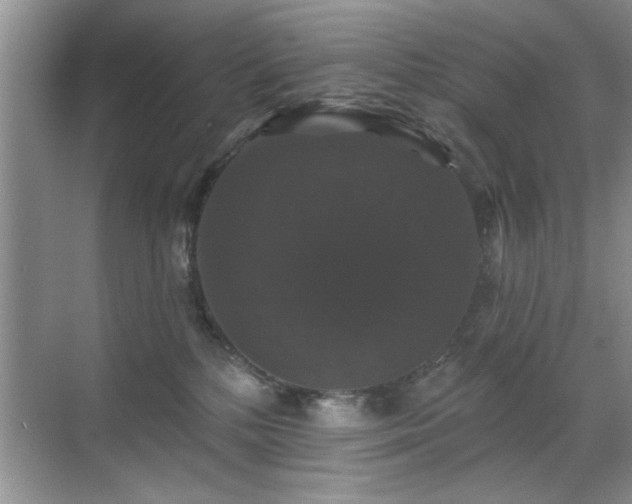 X0000070400232200606121312