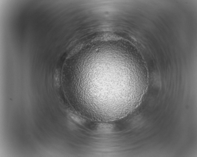 X0000070400234200606121312