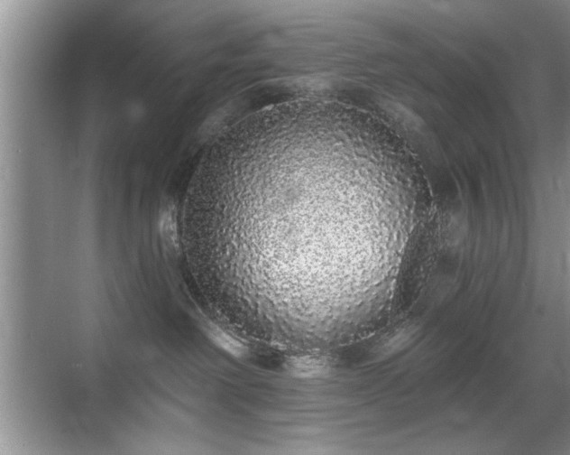 X0000070400238200606121312