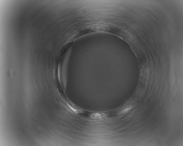 X0000070400239200606121312