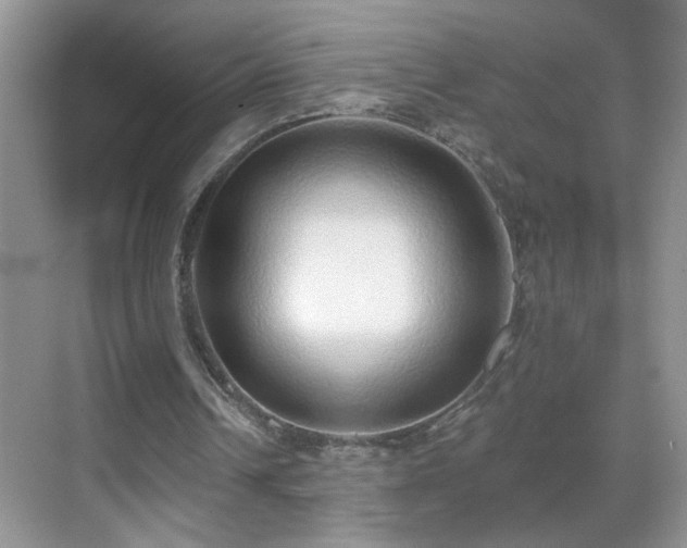 X0000070400242200606121311