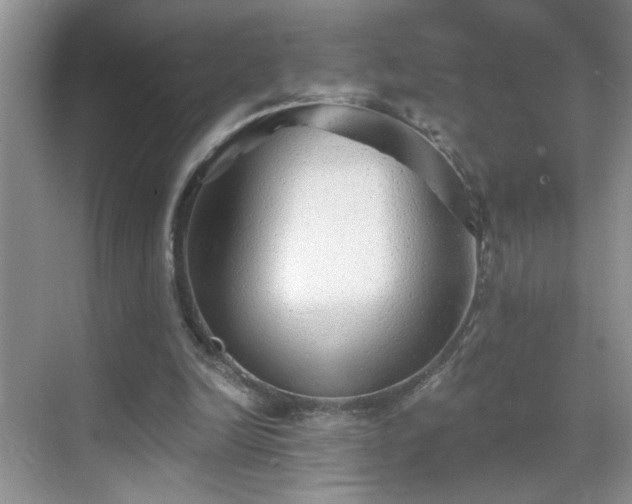 X0000070400246200606121311