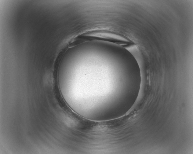 X0000070400252200606121311