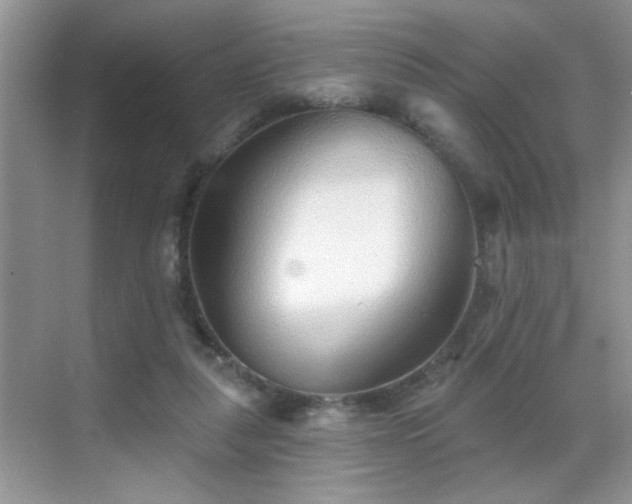X0000070400259200606121311