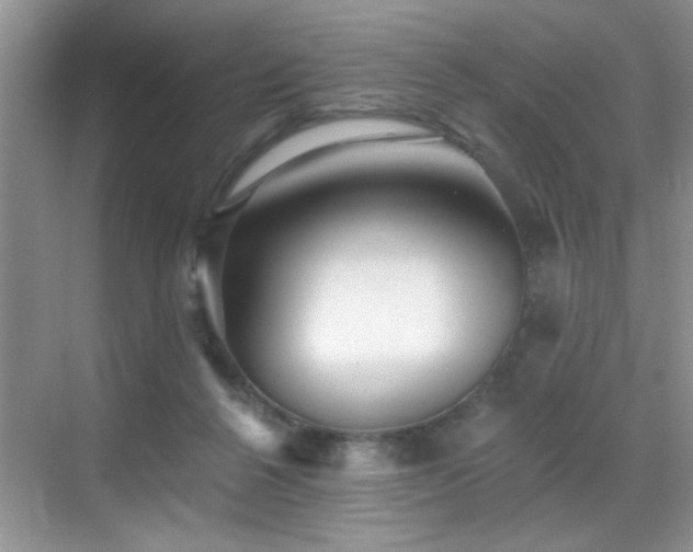 X0000070400264200606121311