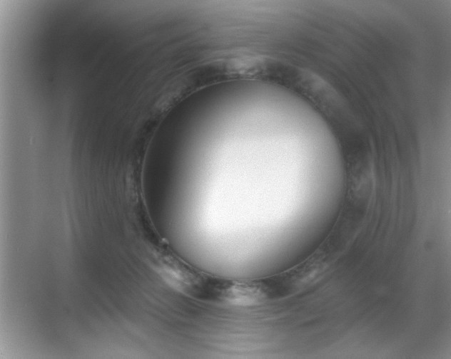 X0000070400270200606121311