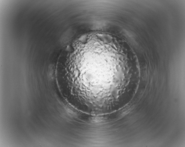 X0000070400273200606121311