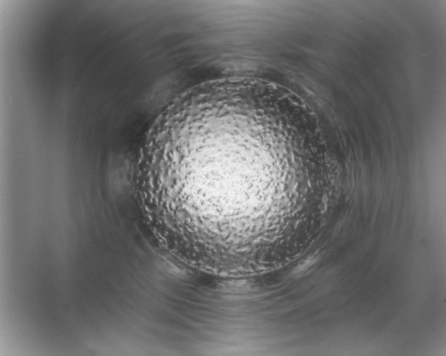 X0000070400281200606121312