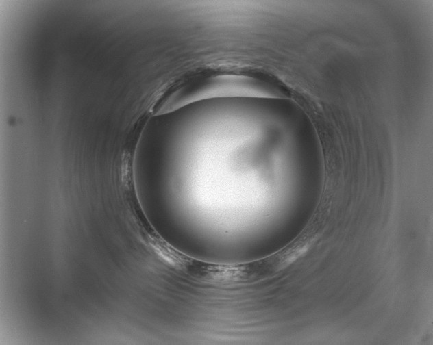 X0000070400288200606121312