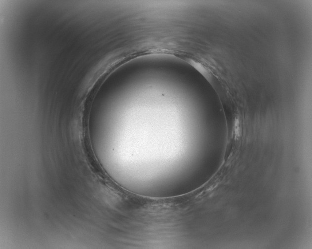 X0000070400291200606121311