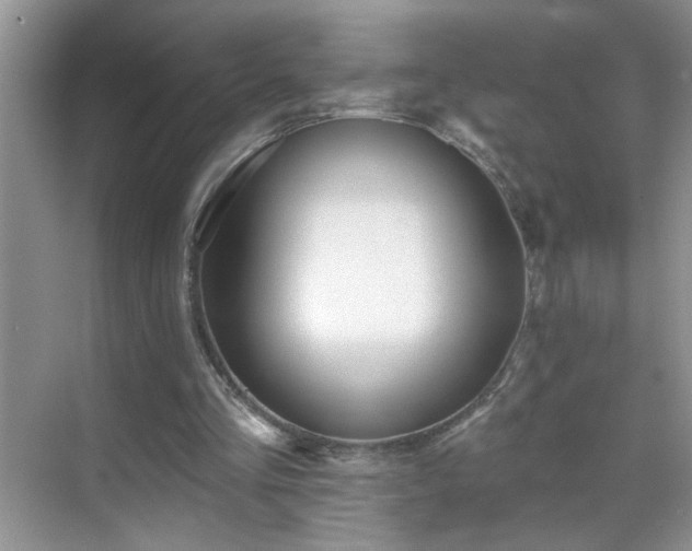 X0000070400293200606121311