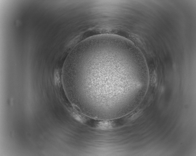X0000070400335200606121310