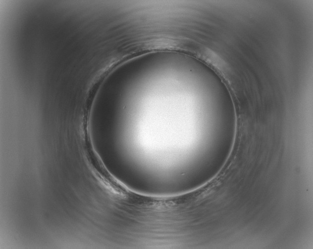 X0000070400345200606121309