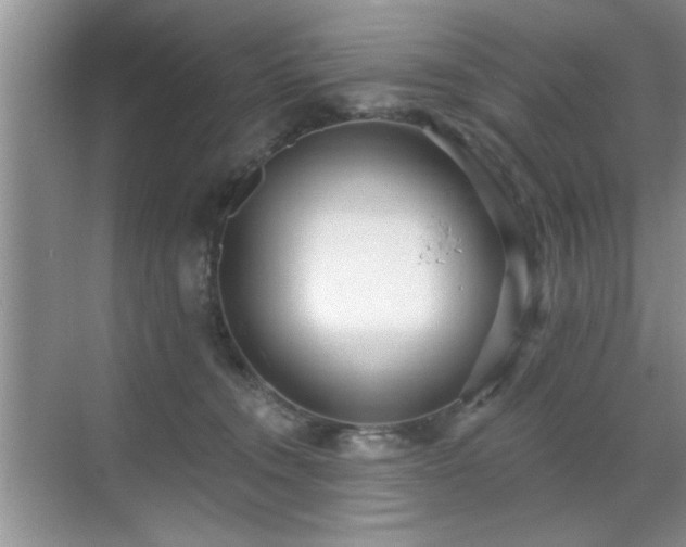 X0000070400372200606121310