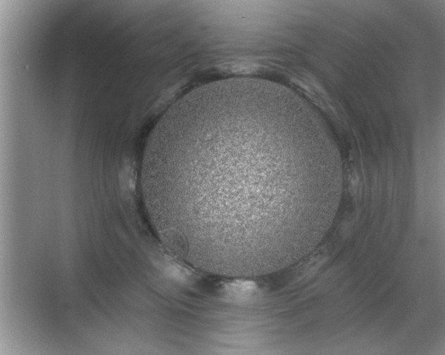 X0000070400374200606121310