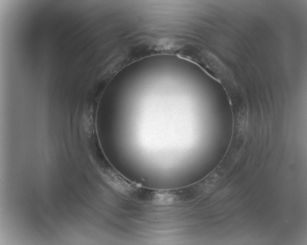 X0000070400376200606121310